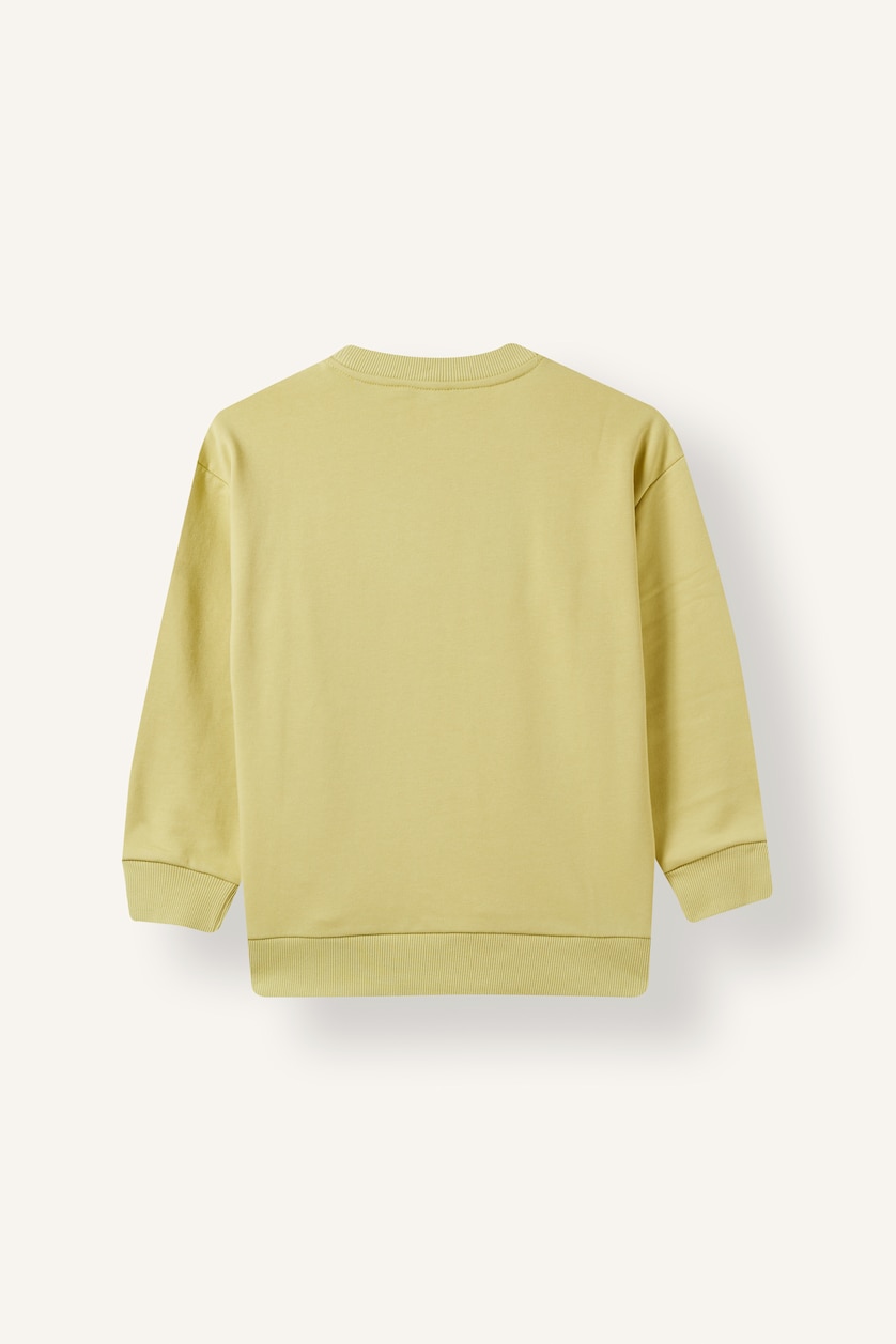 BOYS & TEENS Light Green Boy Warm Crew Neck Effect Print Sweatshirt