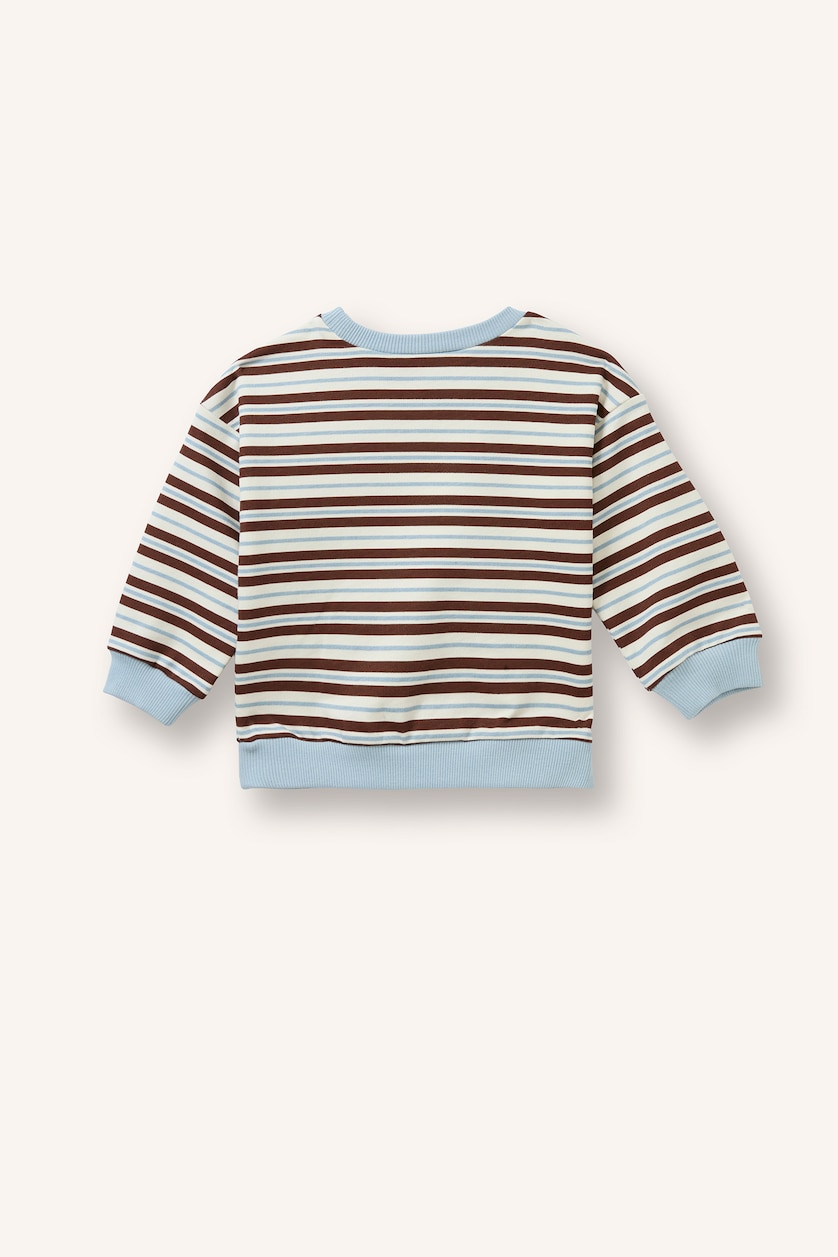 Baby Boys Brown Regular Fit Striped Crew Neck Sweatshirt