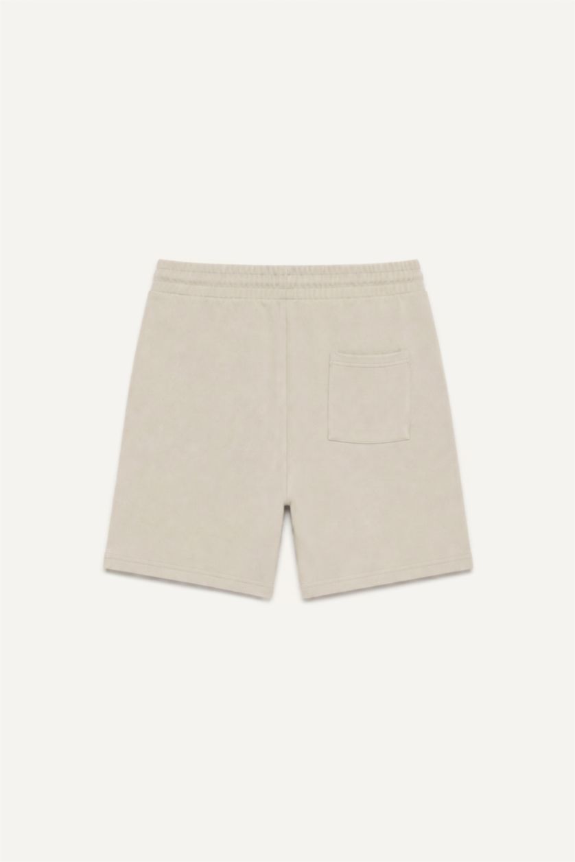 Men Stone Regular Fit
