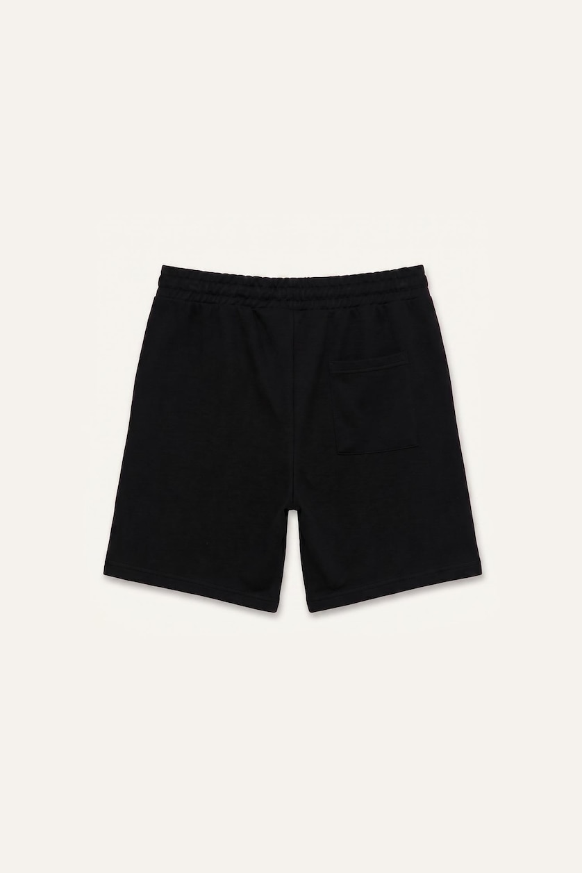 Men Black Regular Fit Regular Hem Shorts
