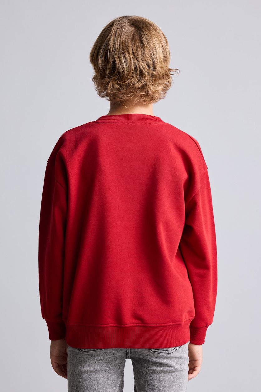 Young Boys - Teen Boys Red Regular Fit Crew Neck Sweatshirt