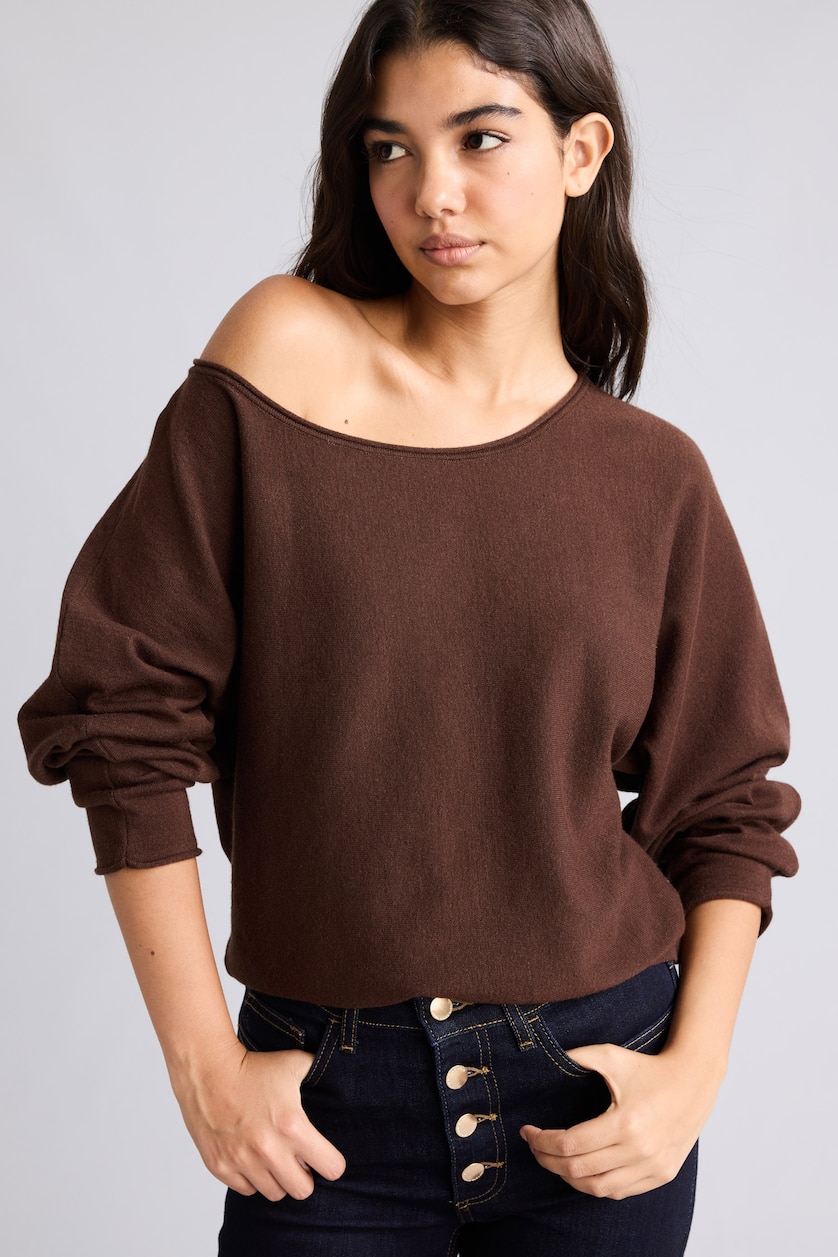 Women Brown Regular Fit Knitwear Pullover