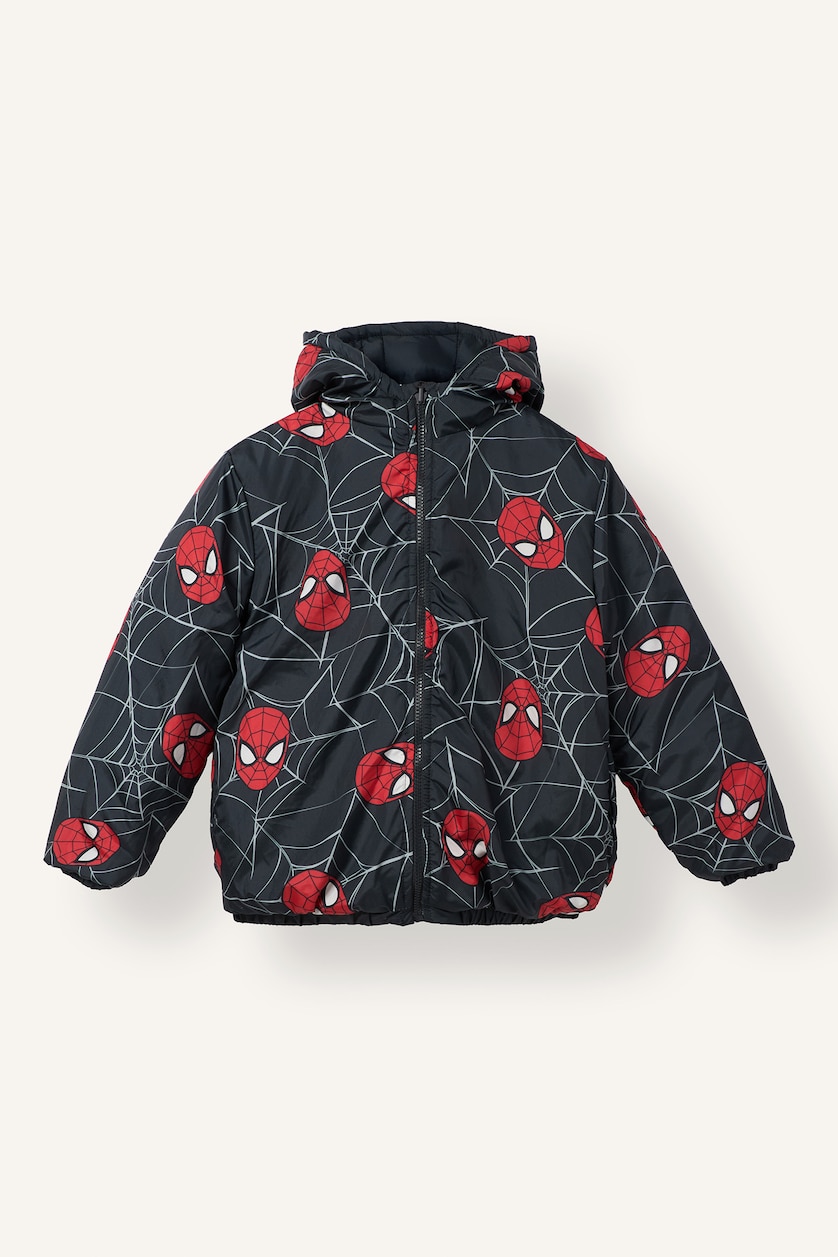 Young Boys - Teen Boys Anthracite Boy Hooded Spiderman Licensed Puffer Jacket