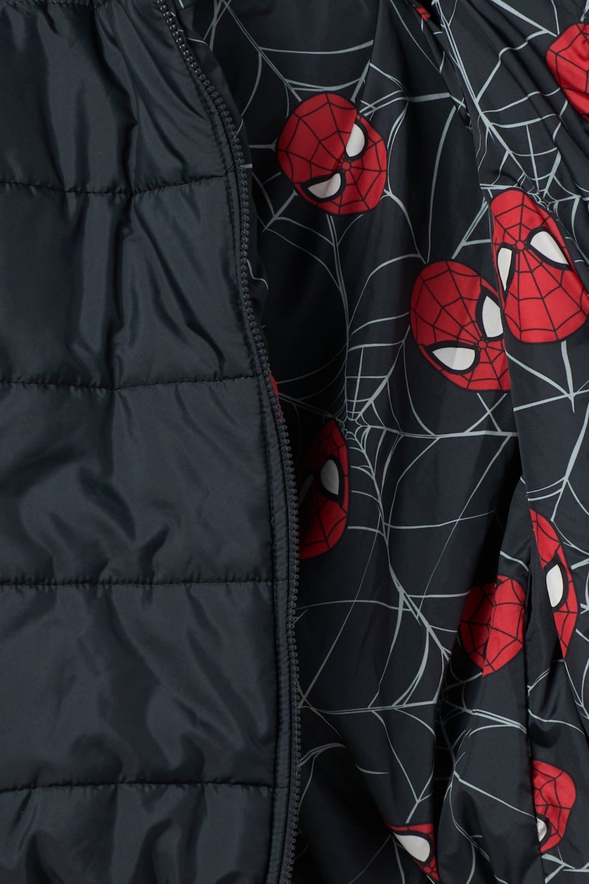 Young Boys - Teen Boys Anthracite Boy Hooded Spiderman Licensed Puffer Jacket