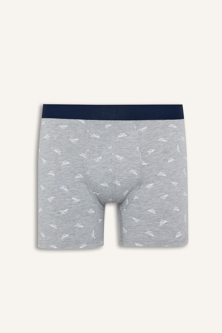 Erkek Lacivert Regular Fit Kuş Desenli 3'lü Boxer