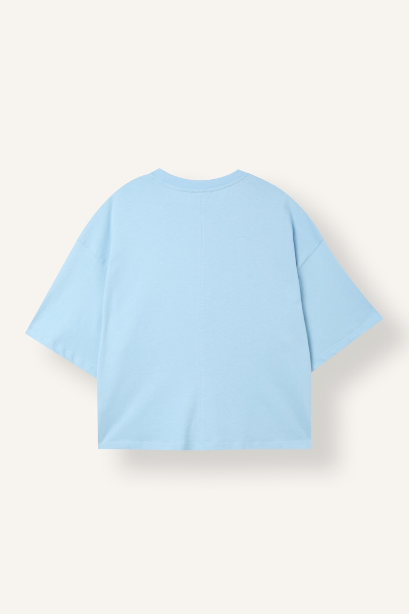 Woman Light Blue Loose Fit Crew Neck Short Sleeve T-Shirt