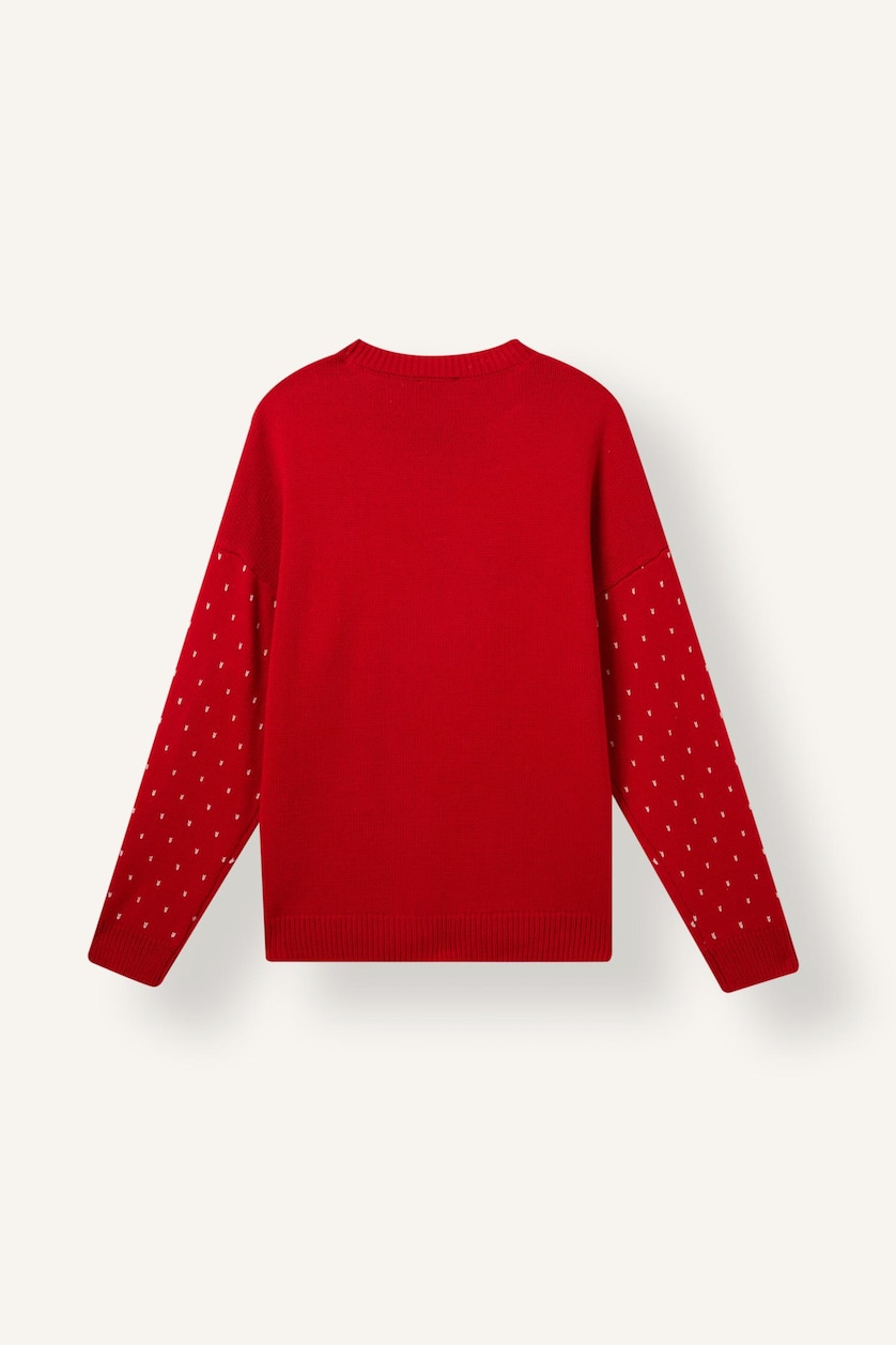 WOMAN Red Regular Fit Crew Neck Knitted Christmas Pullover