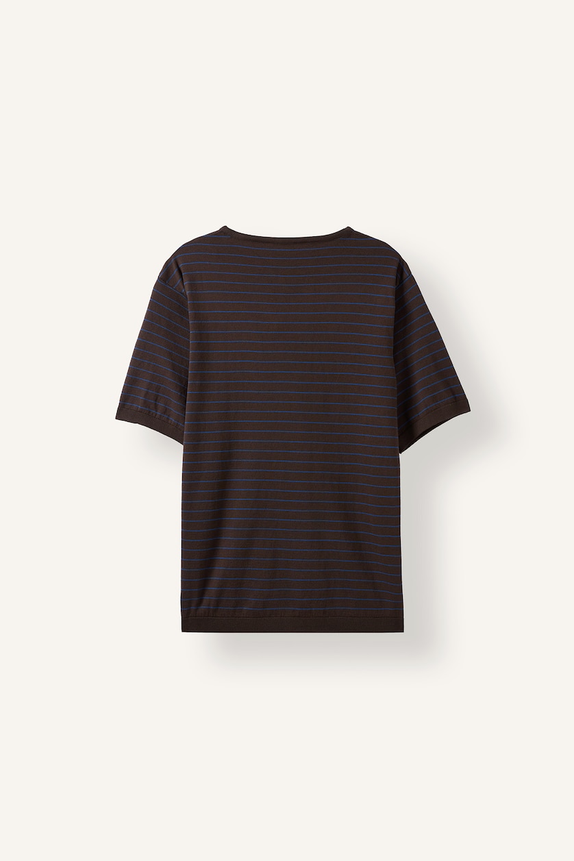 Men Brown Standard Fit Short Sleeve T-Shirt
