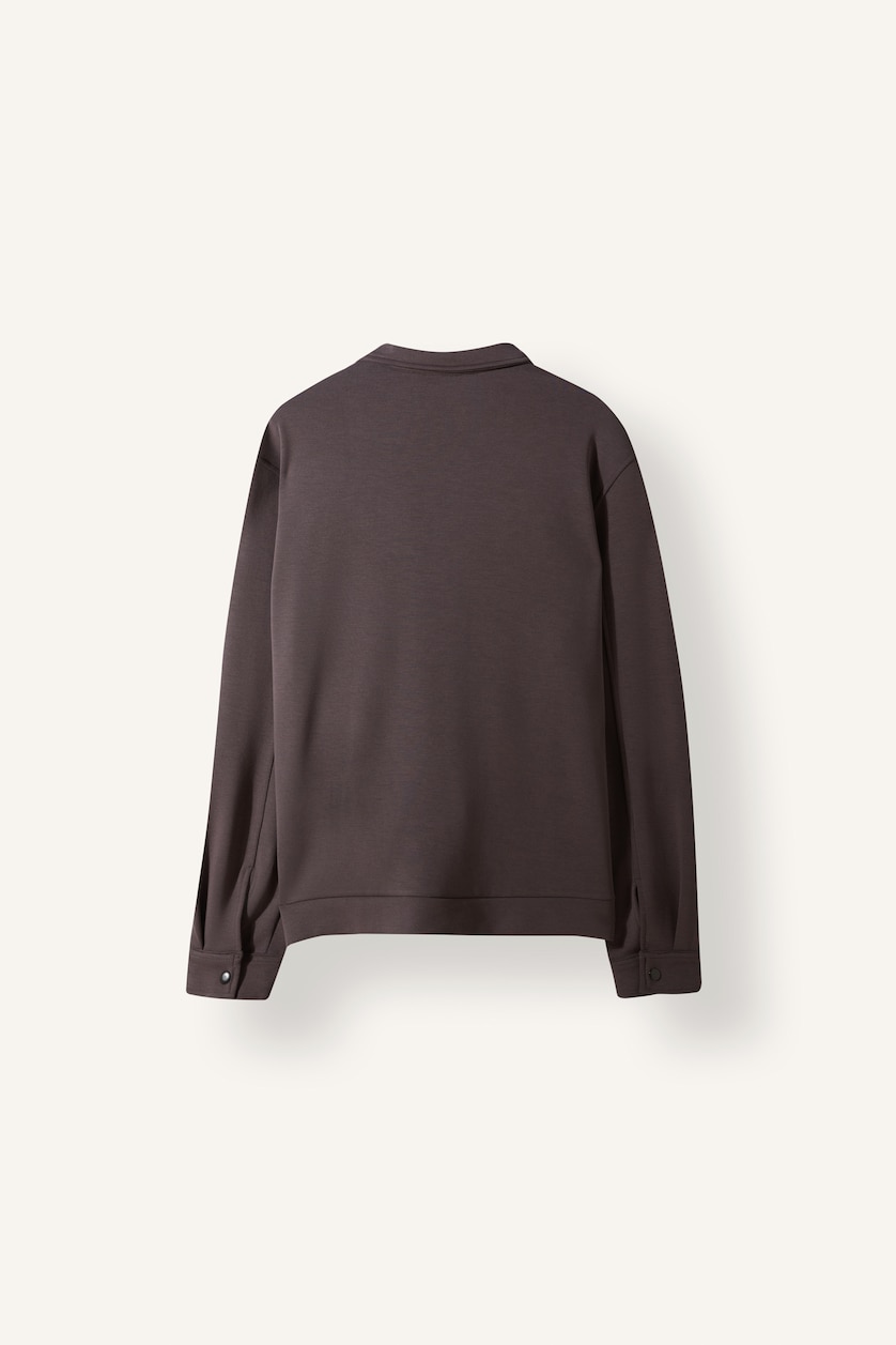 Men Brown Standard Fit Long Sleeve Shirt