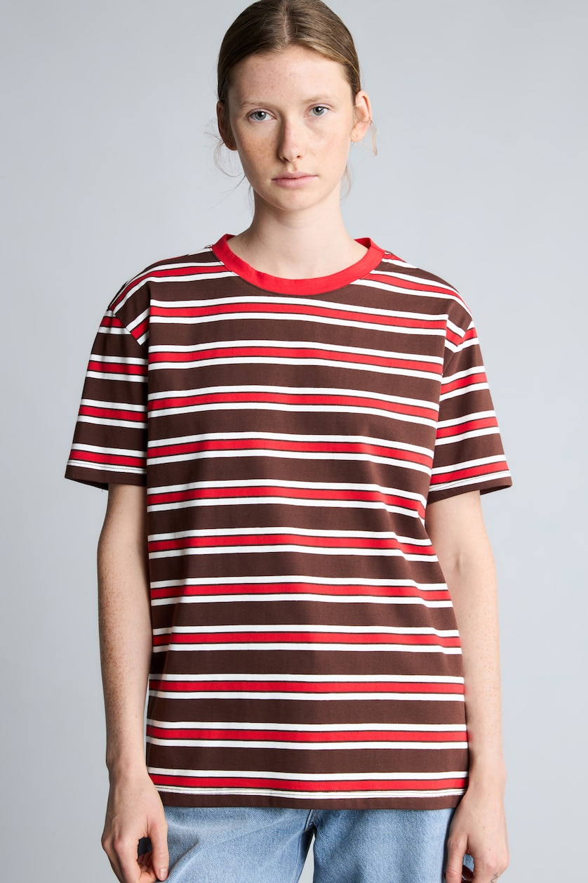Woman Brown Regular Fit Crew Neck Short Sleeve T-Shirt
