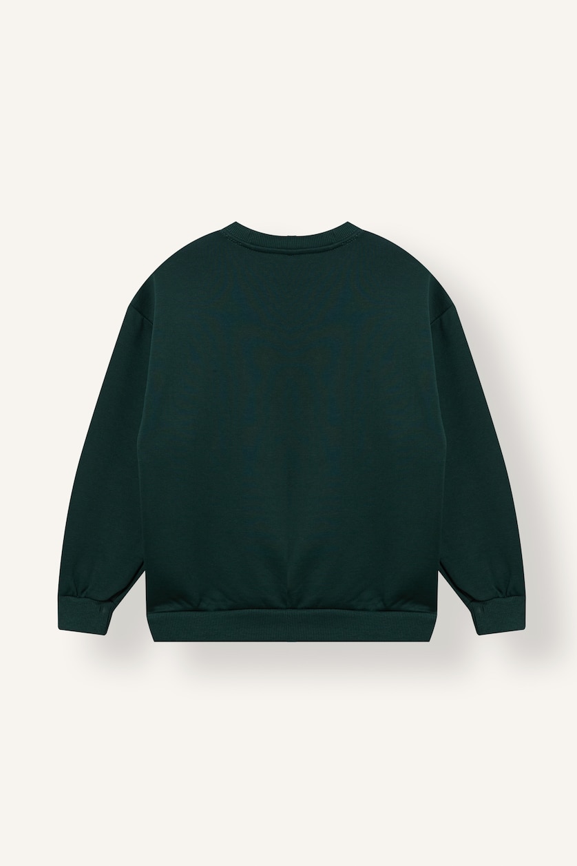 BOYS & TEENS Dark Green سويت شيرت اولادي مطبوع اوفر سايز ببطانة ناعمة