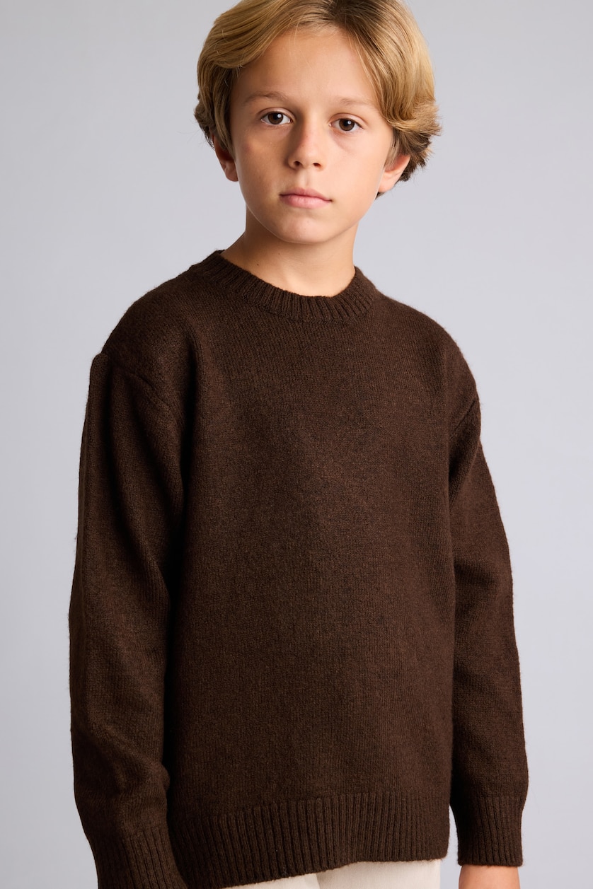 Young Boys - Teen Boys Brown Boy Oversize Fit Crew Neck Pullover