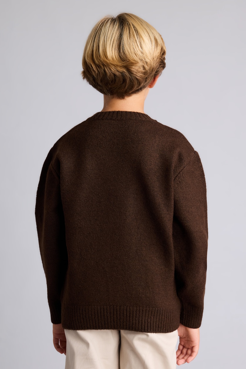 Young Boys - Teen Boys Brown Boy Oversize Fit Crew Neck Pullover