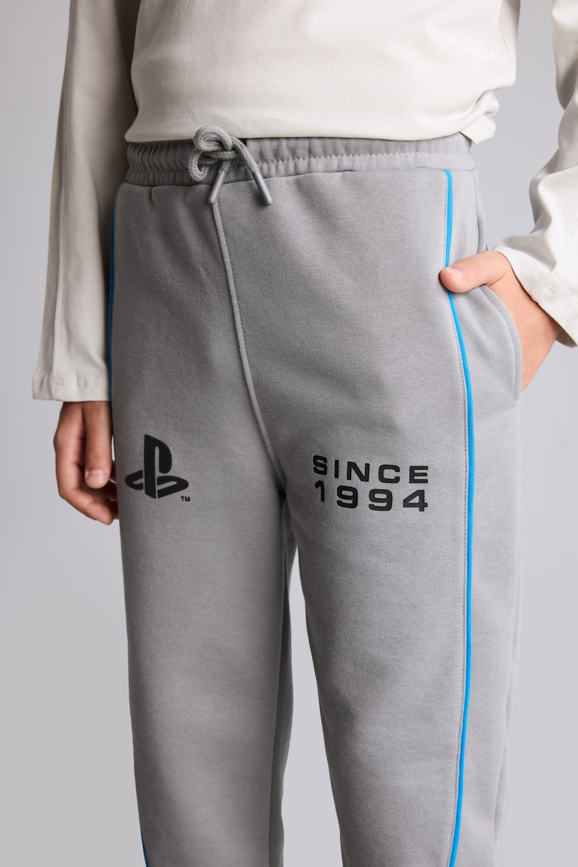 Young Boys - Teen Boys Grey Regular Fit Trousers