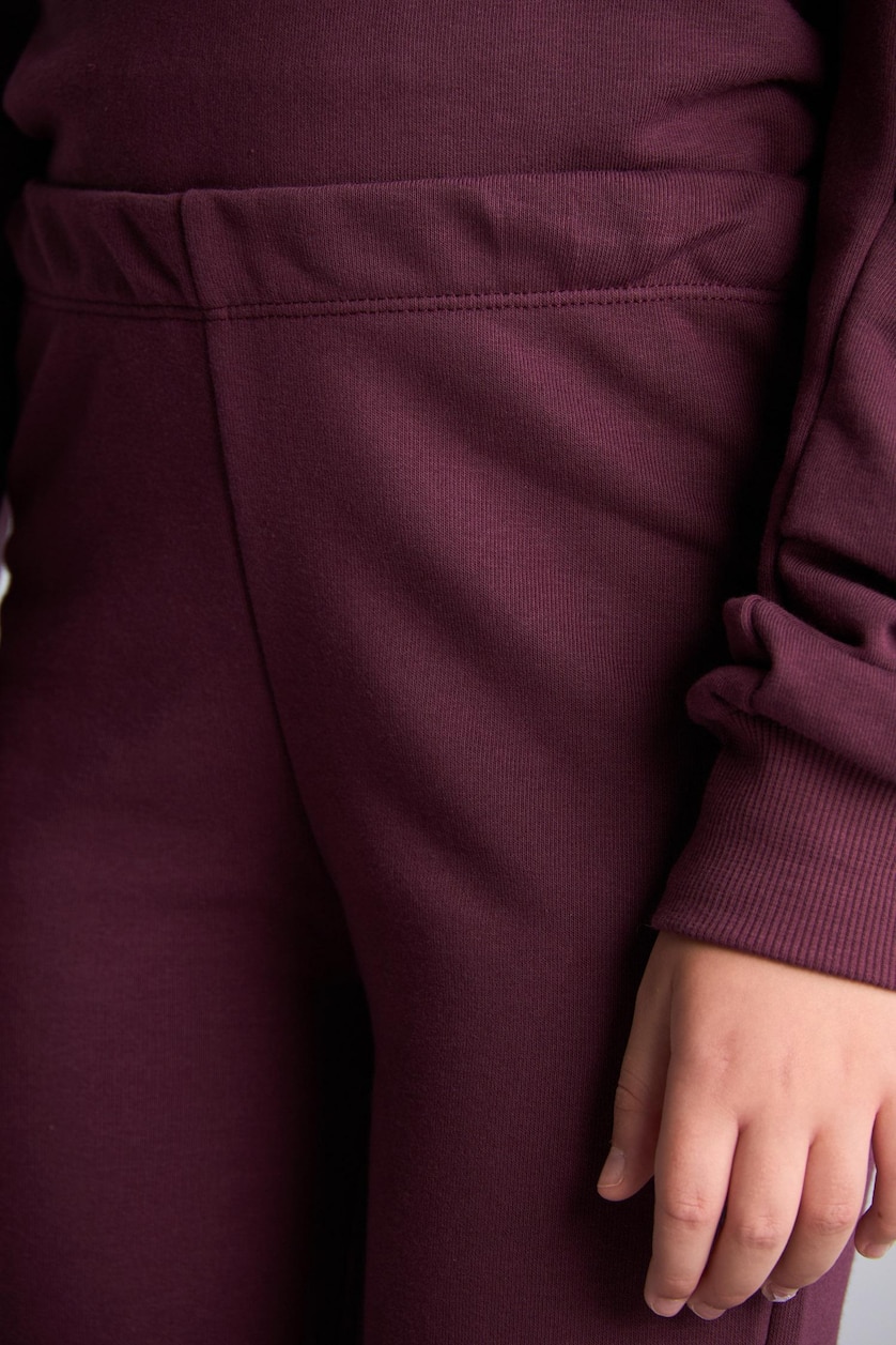 VAJZA & ADOLESHENTE Dark Purple Girl Crew Neck Sweatshirt and Jogger Pants Set