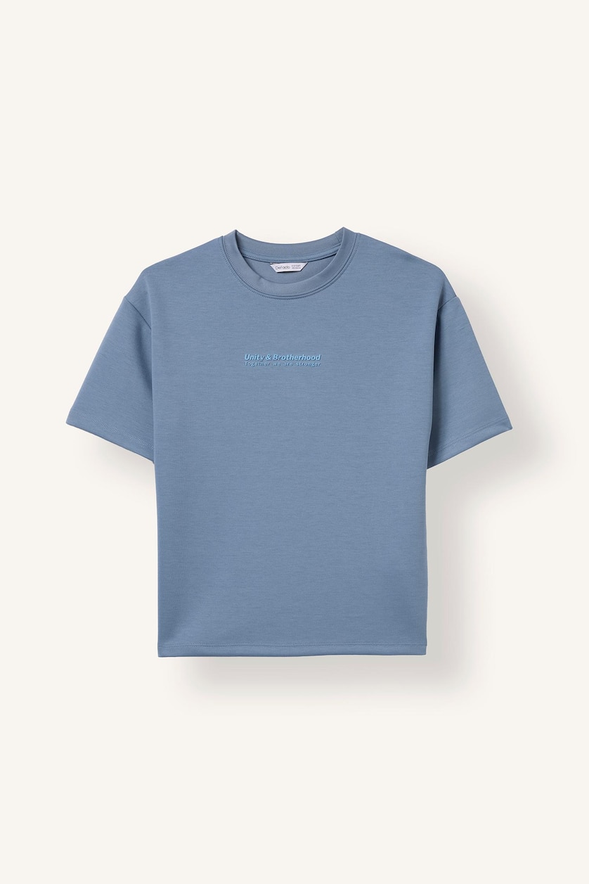 BOYS & TEENS Blue Boy Printed Relax Fit T-Shirt