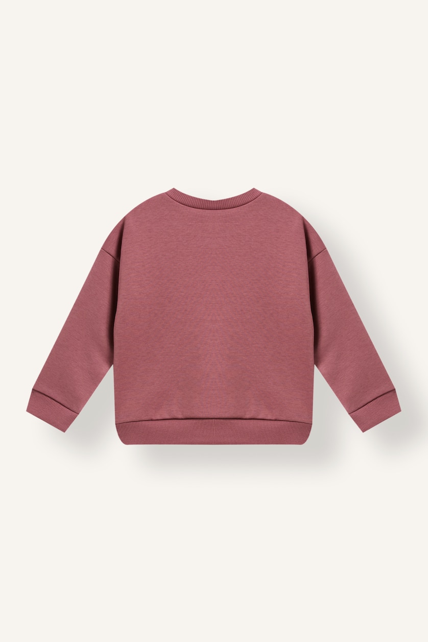 Baby Boys Light Bordeaux Oversize Fit Slogan Sweatshirt
