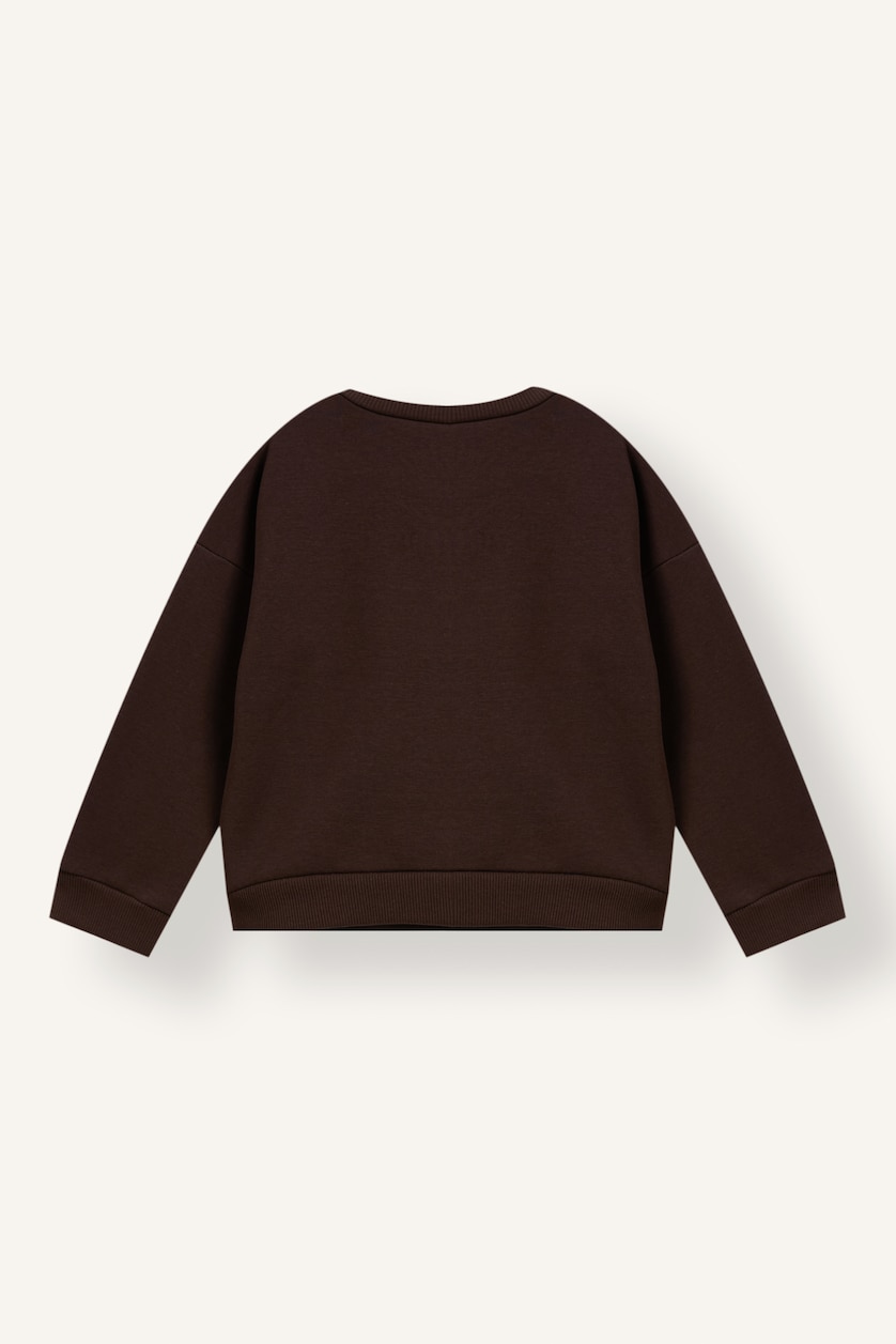 Baby Boys Brown Oversize Fit Animal Print Sweatshirt