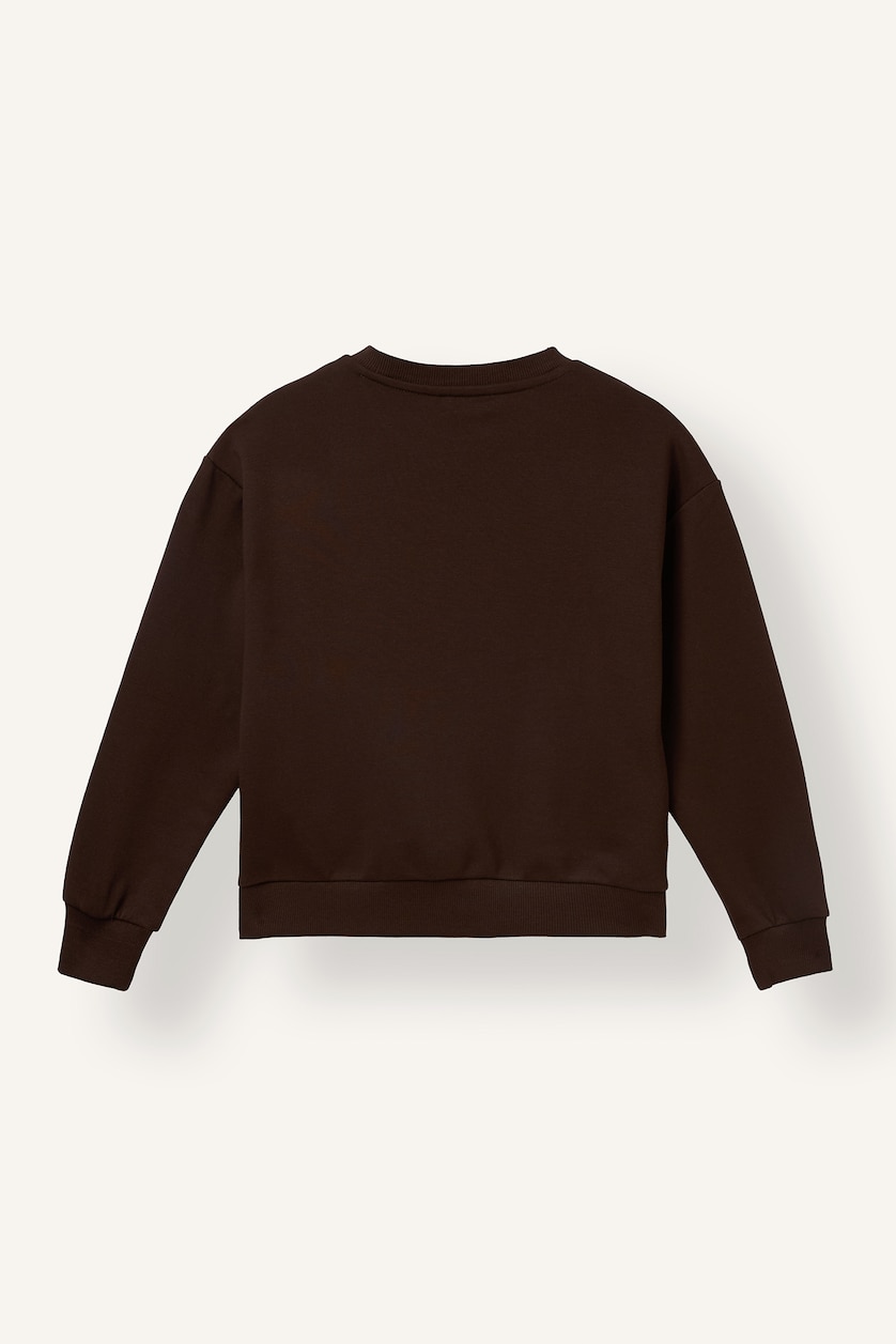 Young Girls - Teen Girls Brown Relax Fit Animal Print Crew Neck Sweatshirt