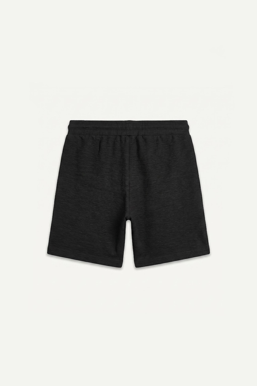 Men Black Regular Fit Regular Hem Shorts
