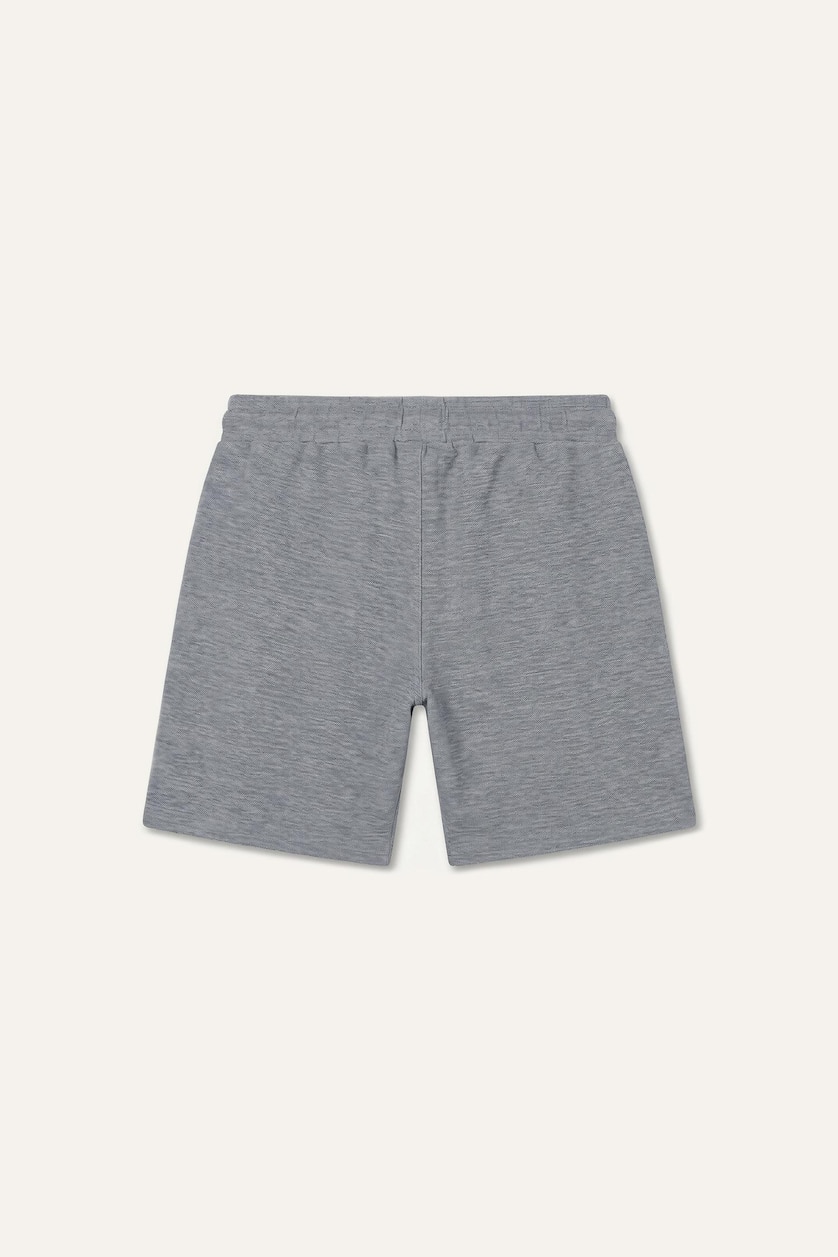 Men Grey Regular Fit Regular Hem Shorts