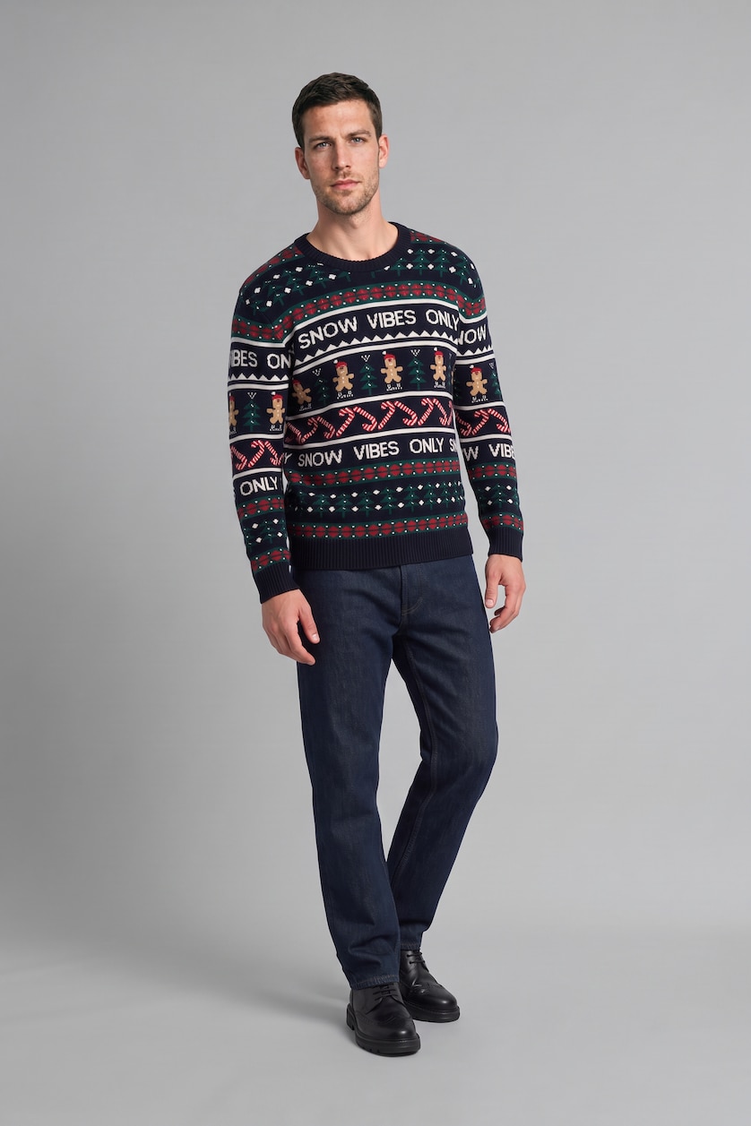 Men NAVY Standard Fit Knitwear Pullover