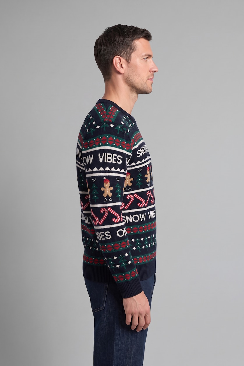 Men NAVY Standard Fit Knitwear Pullover