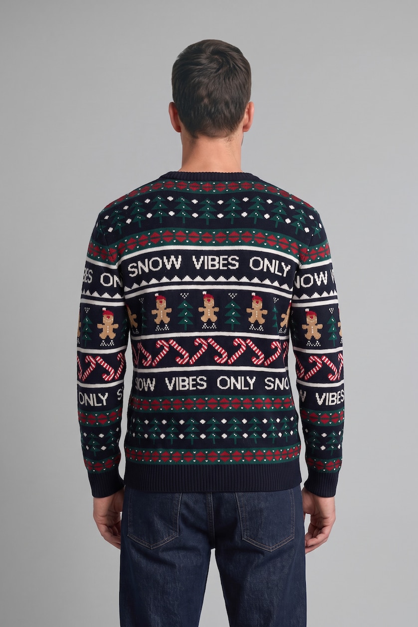 Men NAVY Standard Fit Knitwear Pullover