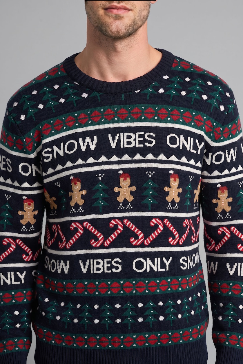 Men NAVY Standard Fit Knitwear Pullover