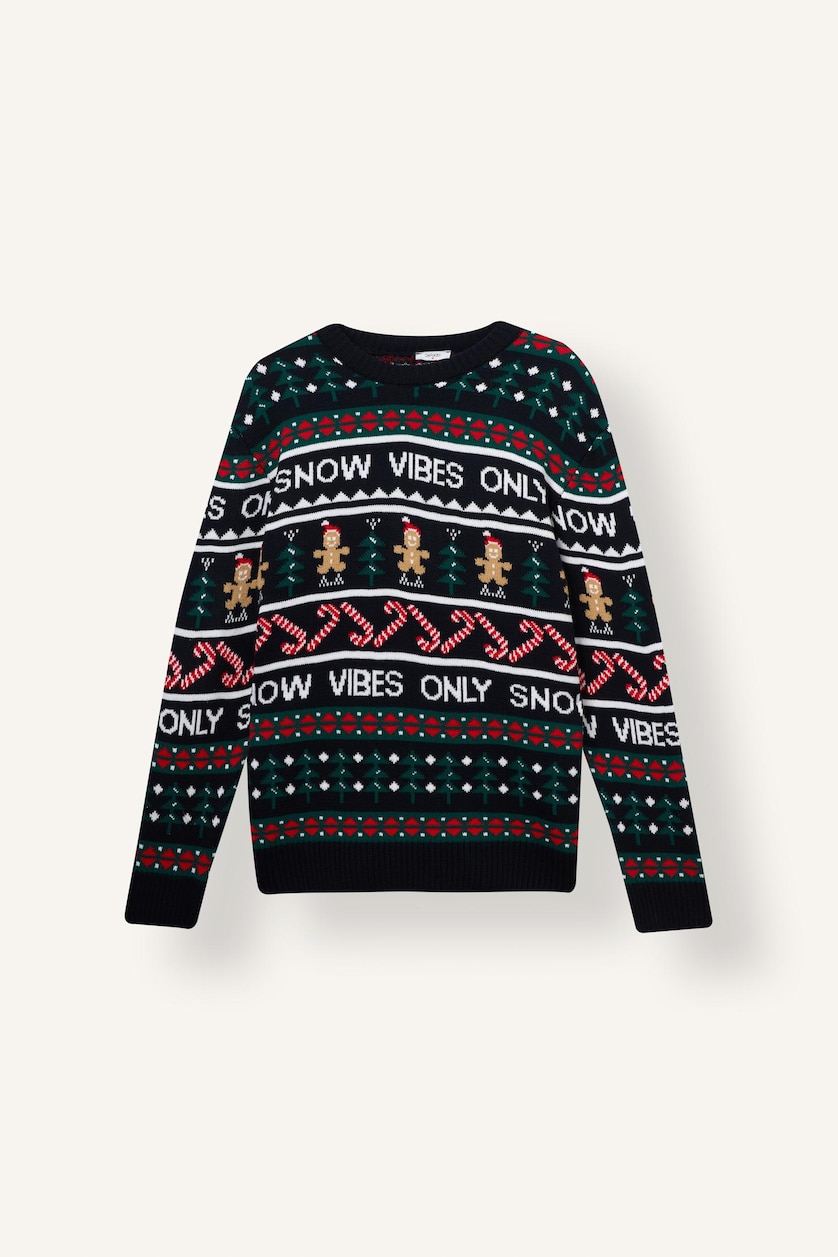 Men NAVY Standard Fit Knitwear Pullover