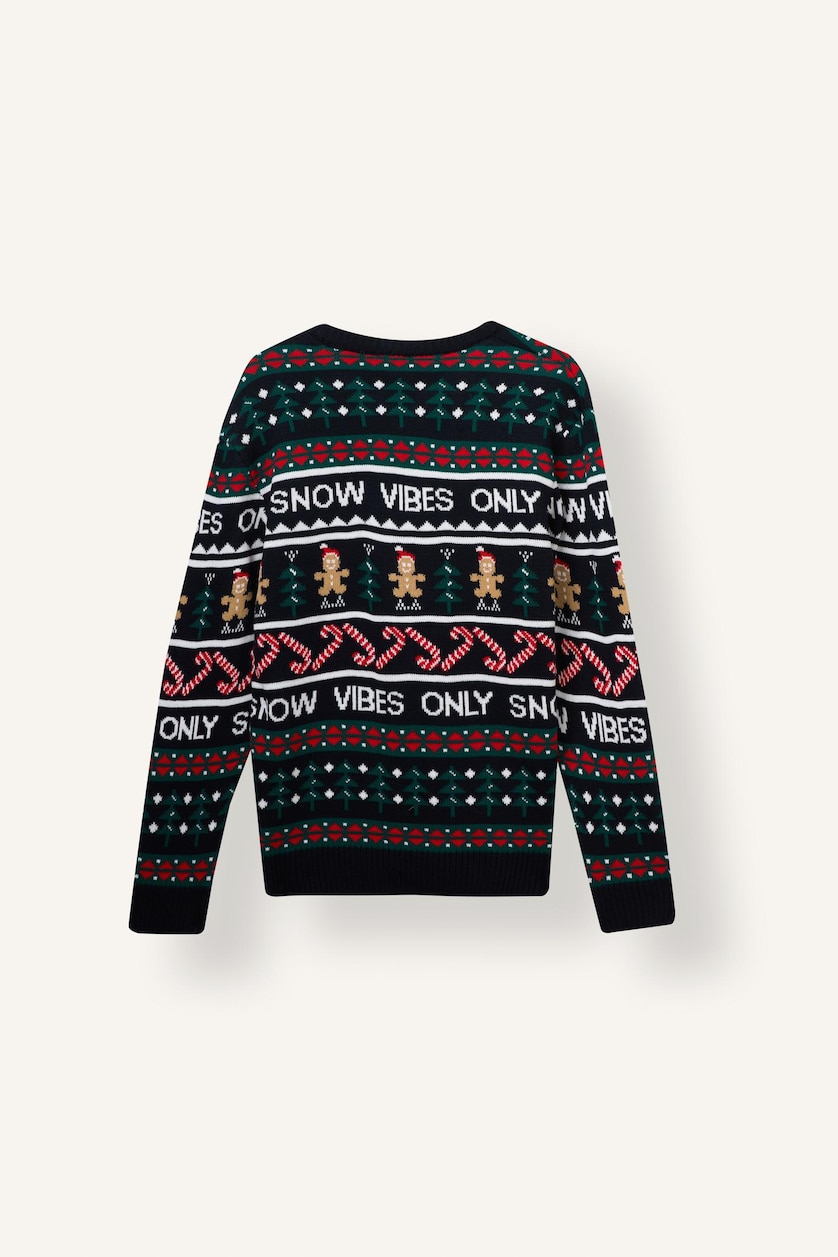 Men NAVY Standard Fit Knitwear Pullover