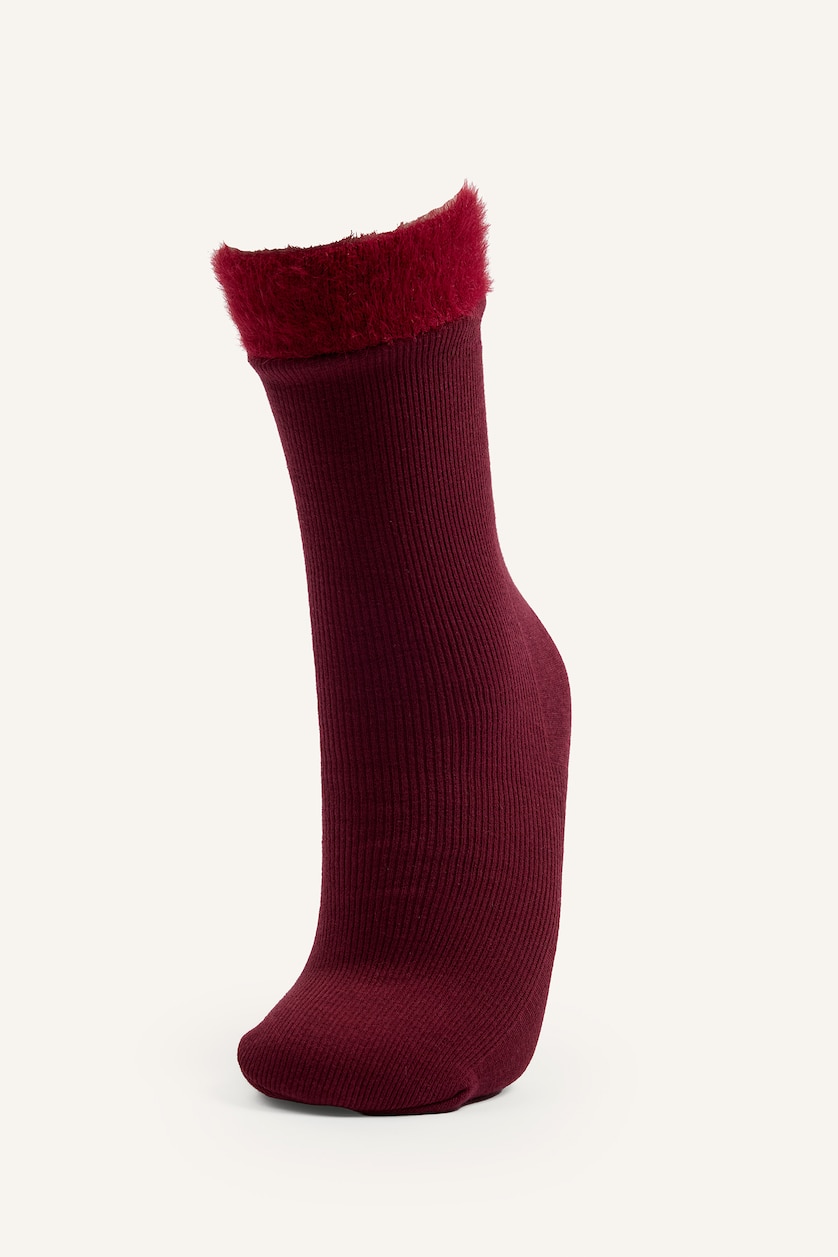 Women Bordeaux 2 piece Long sock