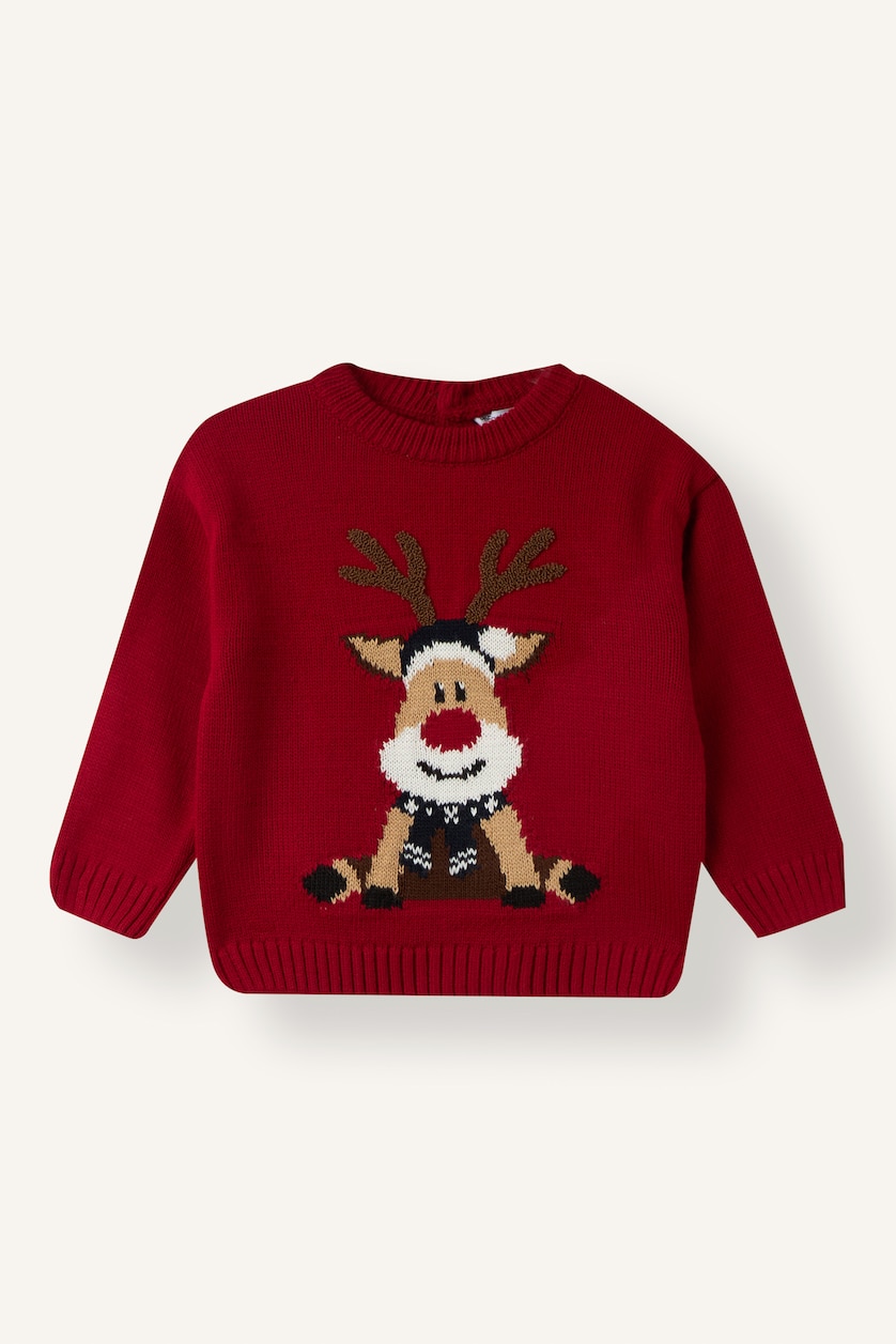 Baby Boys Red Baby Boy Regular Fit Crew Neck Pullover
