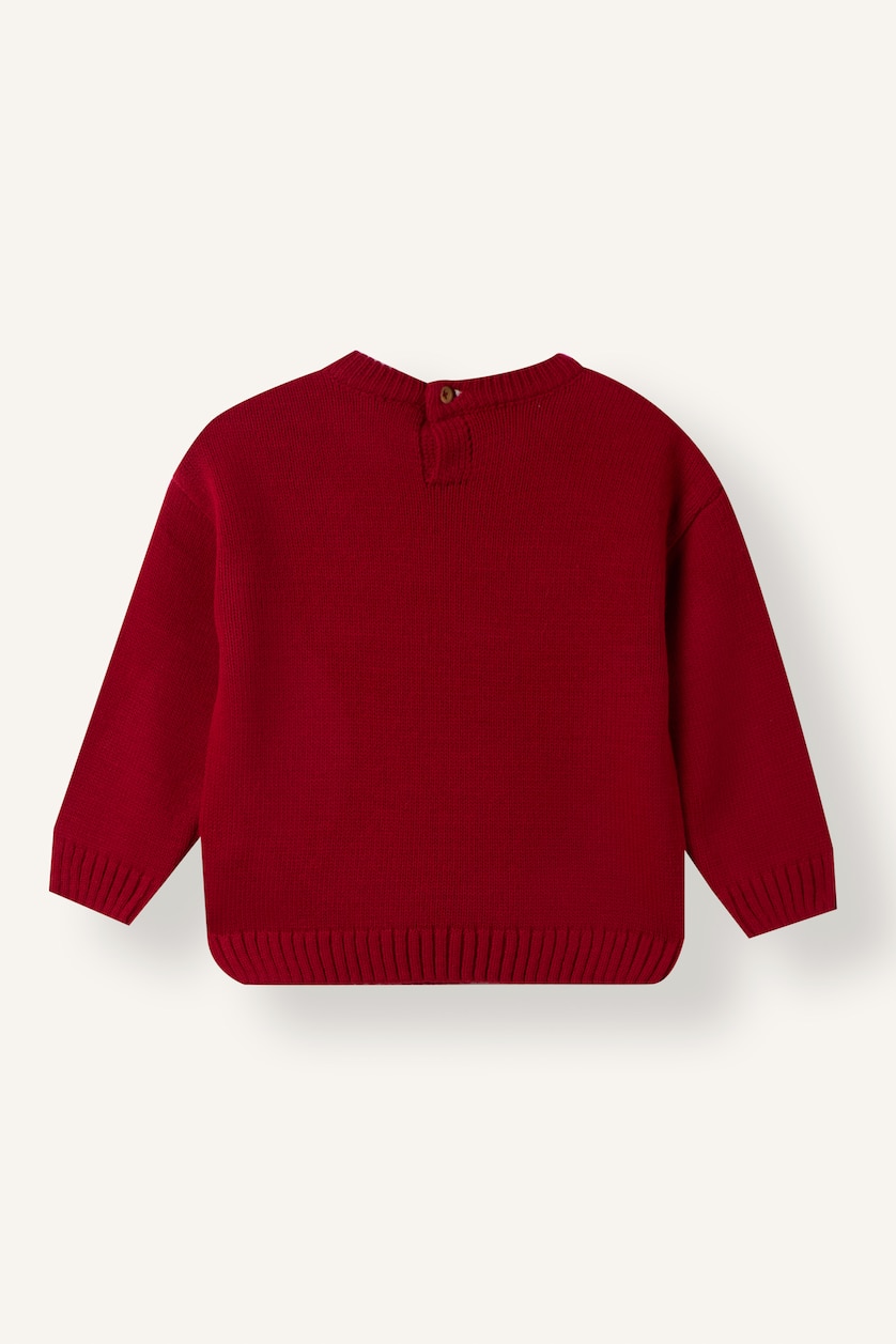 Baby Boys Red Baby Boy Regular Fit Crew Neck Pullover