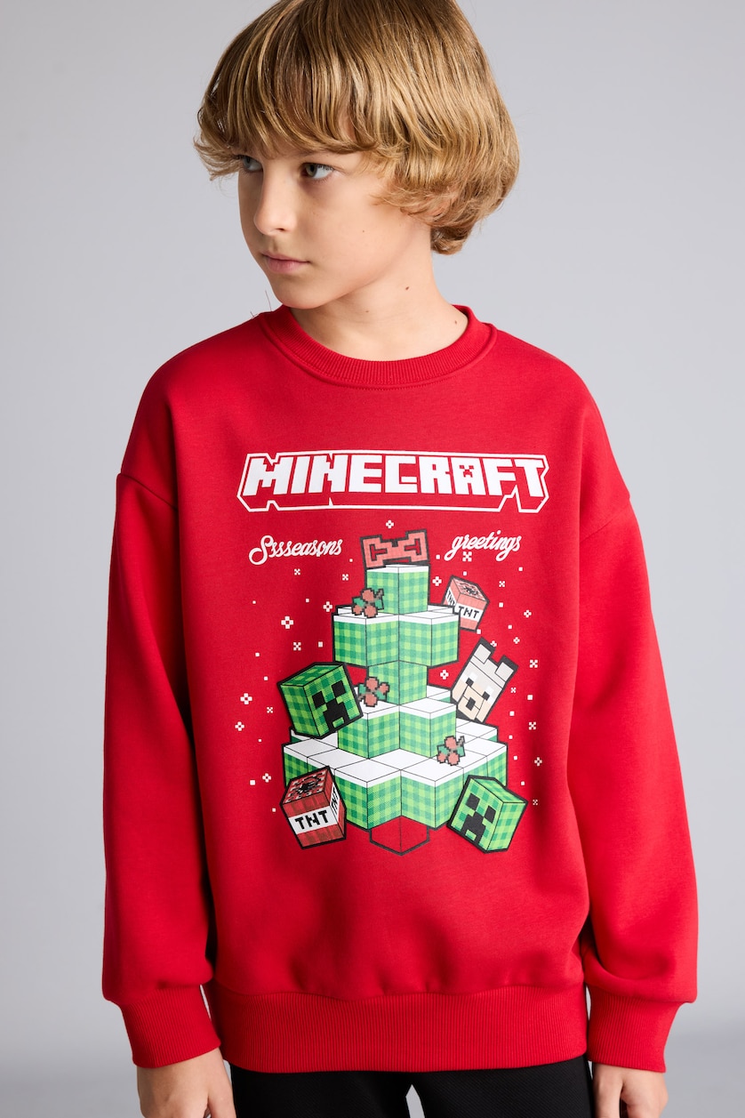 Young Boys - Teen Boys Red Sweatshirt