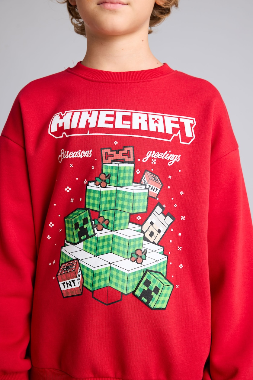 Young Boys - Teen Boys Red Sweatshirt