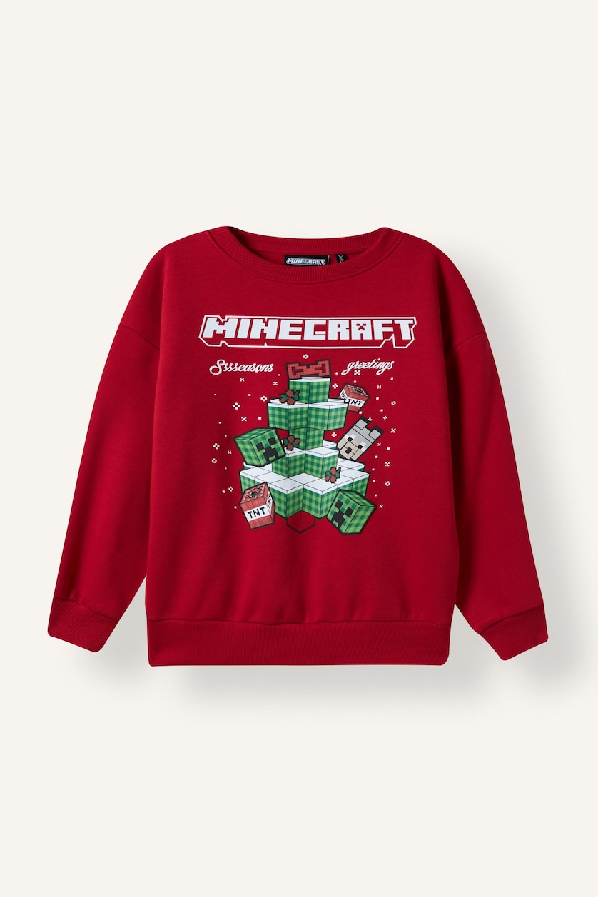 Young Boys - Teen Boys Red Sweatshirt