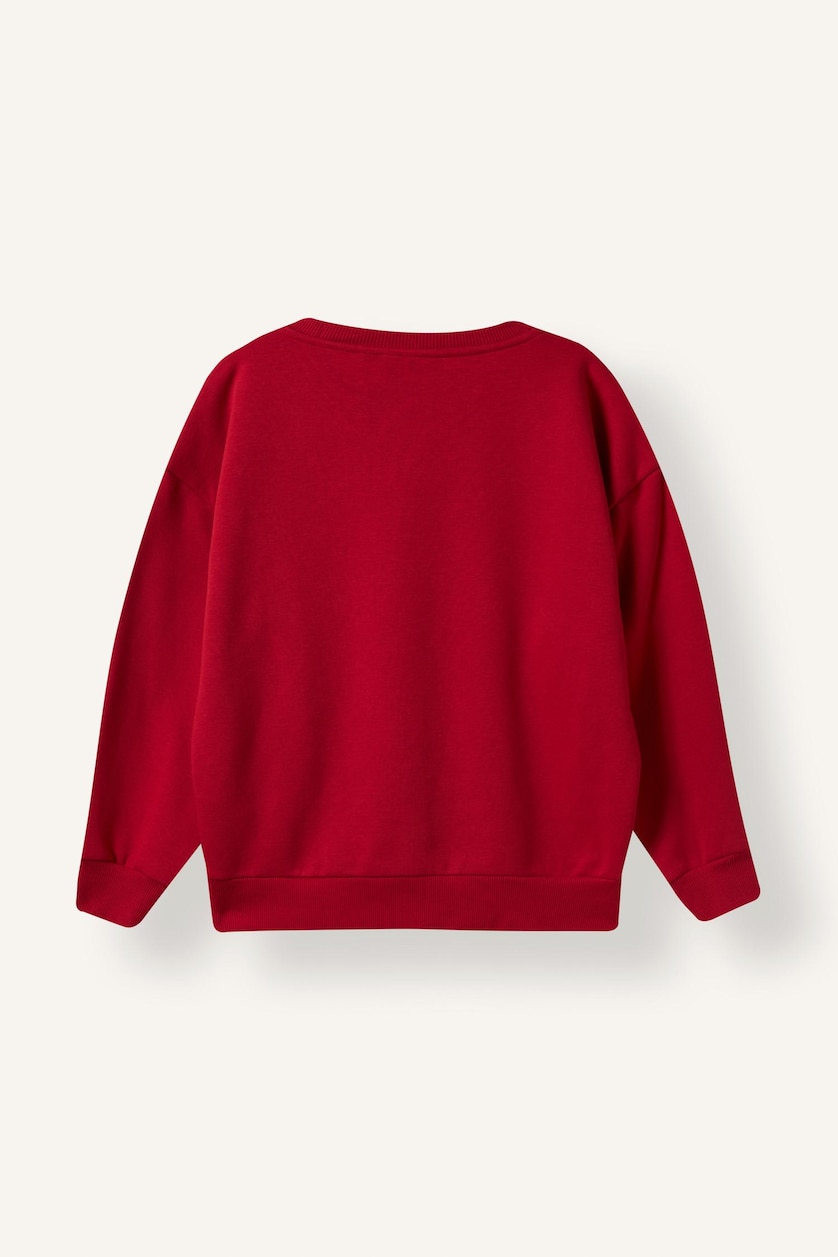 Young Boys - Teen Boys Red Sweatshirt