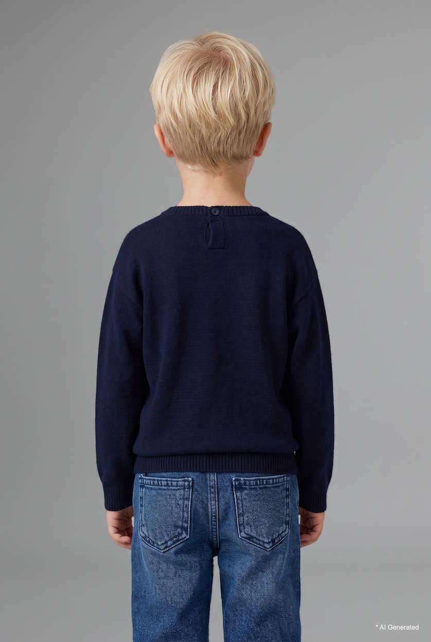 Baby Boys NAVY Baby Boy Regular Fit Pullover
