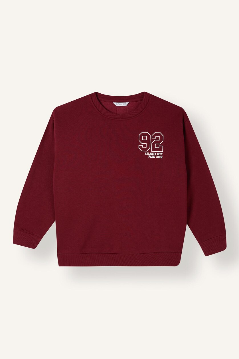 Young Boys - Teen Boys Bordeaux Regular Fit Printed Crew Neck Sweatshirt