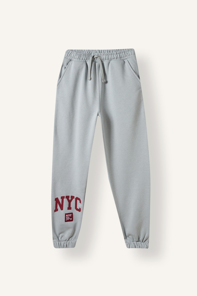 Young Boys - Teen Boys Light Grey Regular Fit Printed Trousers