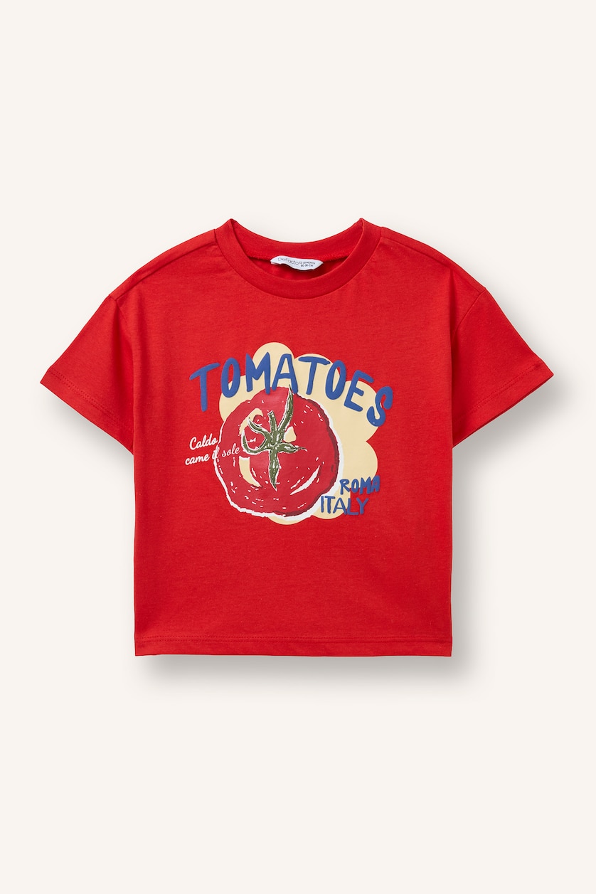 Baby Boys Red Regular Fit Slogan Short Sleeve T-Shirt
