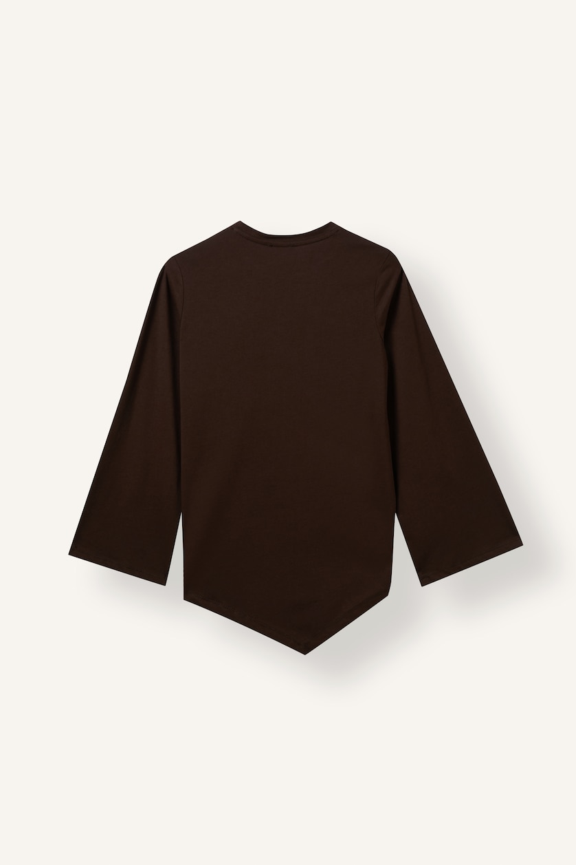Women Brown Regular Fit Long Sleeve T-Shirt