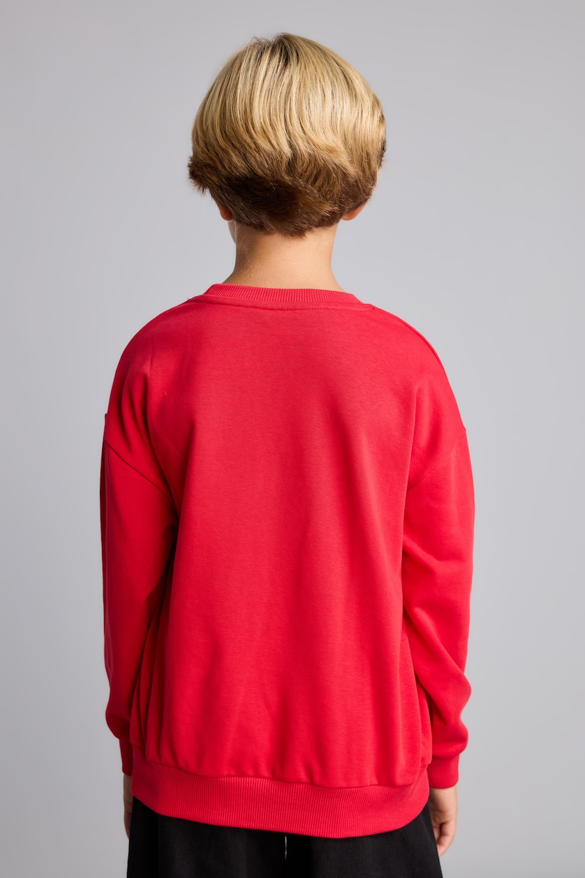 Young Boys - Teen Boys Red Regular Fit Printed Crew Neck Sweatshirt
