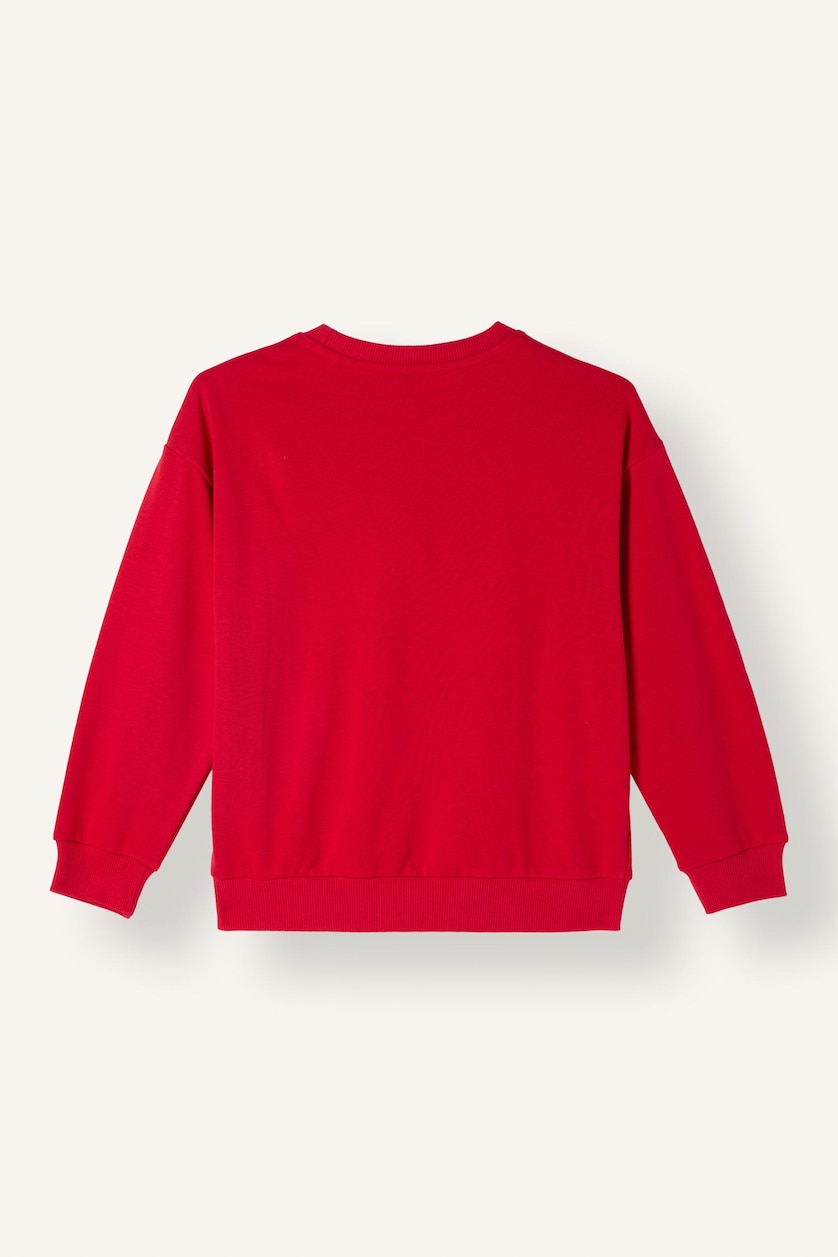 Young Boys - Teen Boys Red Regular Fit Printed Crew Neck Sweatshirt