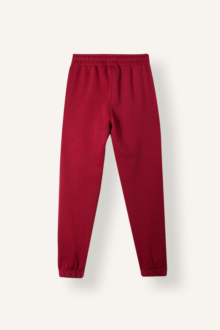 Young Boys - Teen Boys Red Regular Fit Trousers