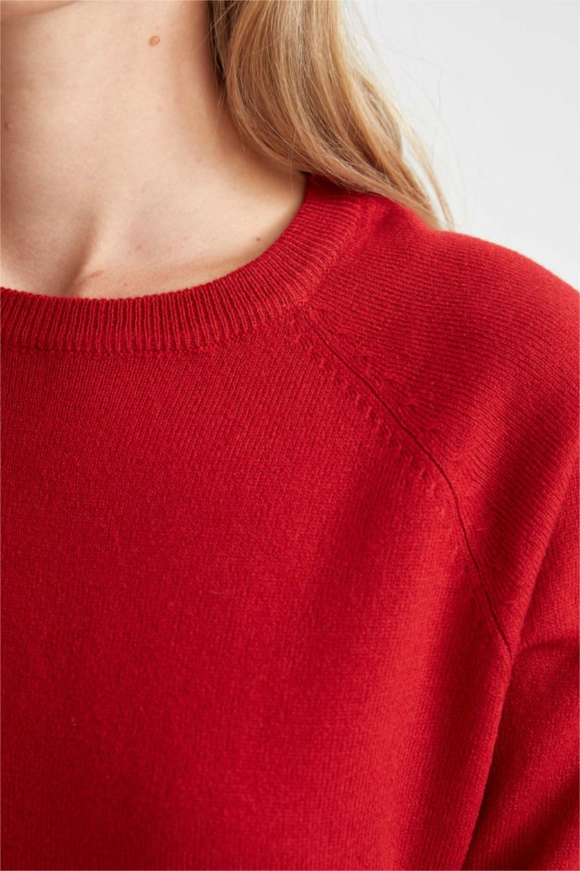 Жіночий Фуксія Пуловер свободного крою з круглим вирізом для жінок