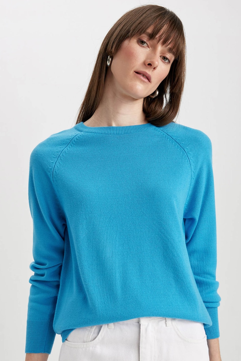 Blue WOMAN Regular Fit Pullover 2790157 | DeFacto