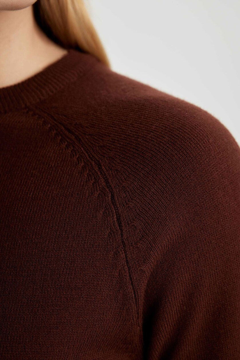 نساء بني Regular Fit Pullover