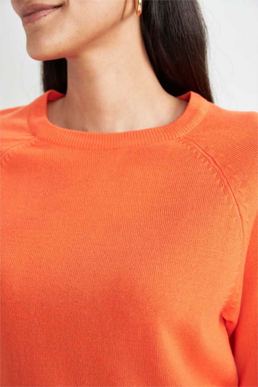 WOMAN Orange Regular Fit Crew Neck Pullover